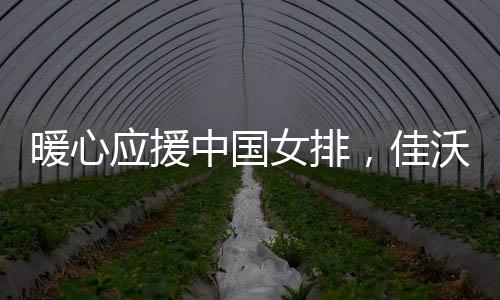 暖心应援中国女排,佳沃水果汇聚万名球迷祝福